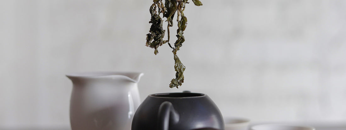 hold leaves with pot