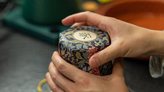 Hands holding a decorative package.