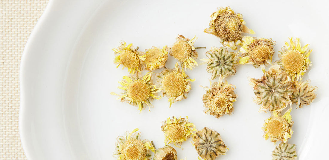 Chrysanthemum flowers