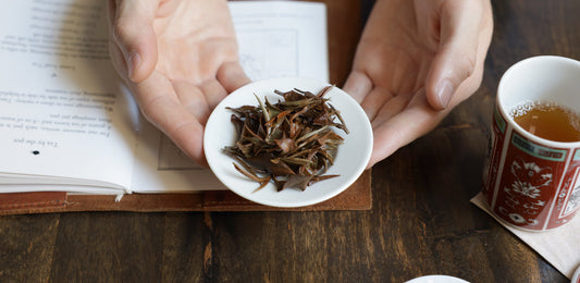 Hands holding a plate of tea leaves with a cup.