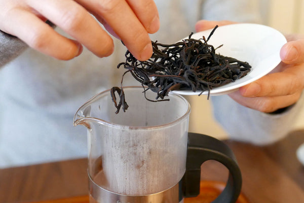Adding loose leaf tea to a French press for brewing.