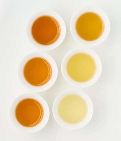 Six cups of brewed oolong tea showing a range of tea liquor colors