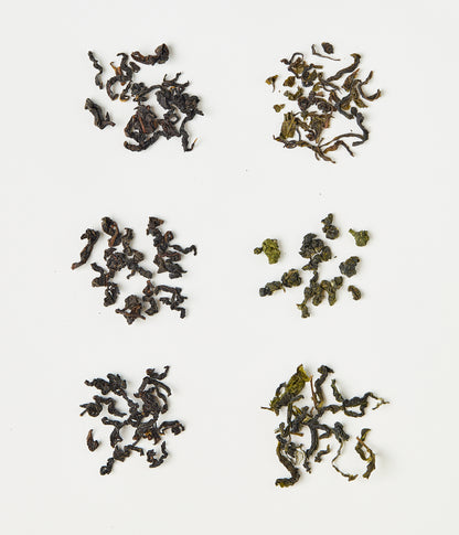 Different types of dried oolong tea leaves arranged on white background