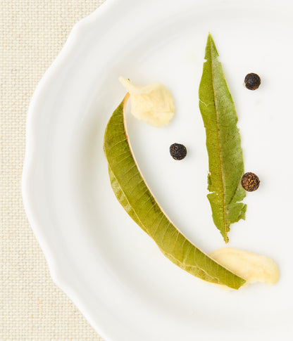 Steeped lemon verbena leaves, ginger, and maqaw peppercorns on a white plate.