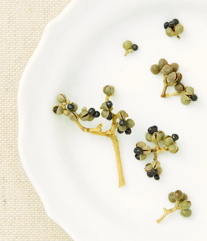 Prickly Ash Flower