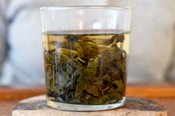 Glass cup filled with steeped tea leaves and golden tea.