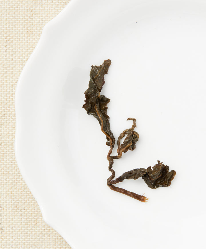 Iron Goddess steeped tea leaves displayed on a white plate.
