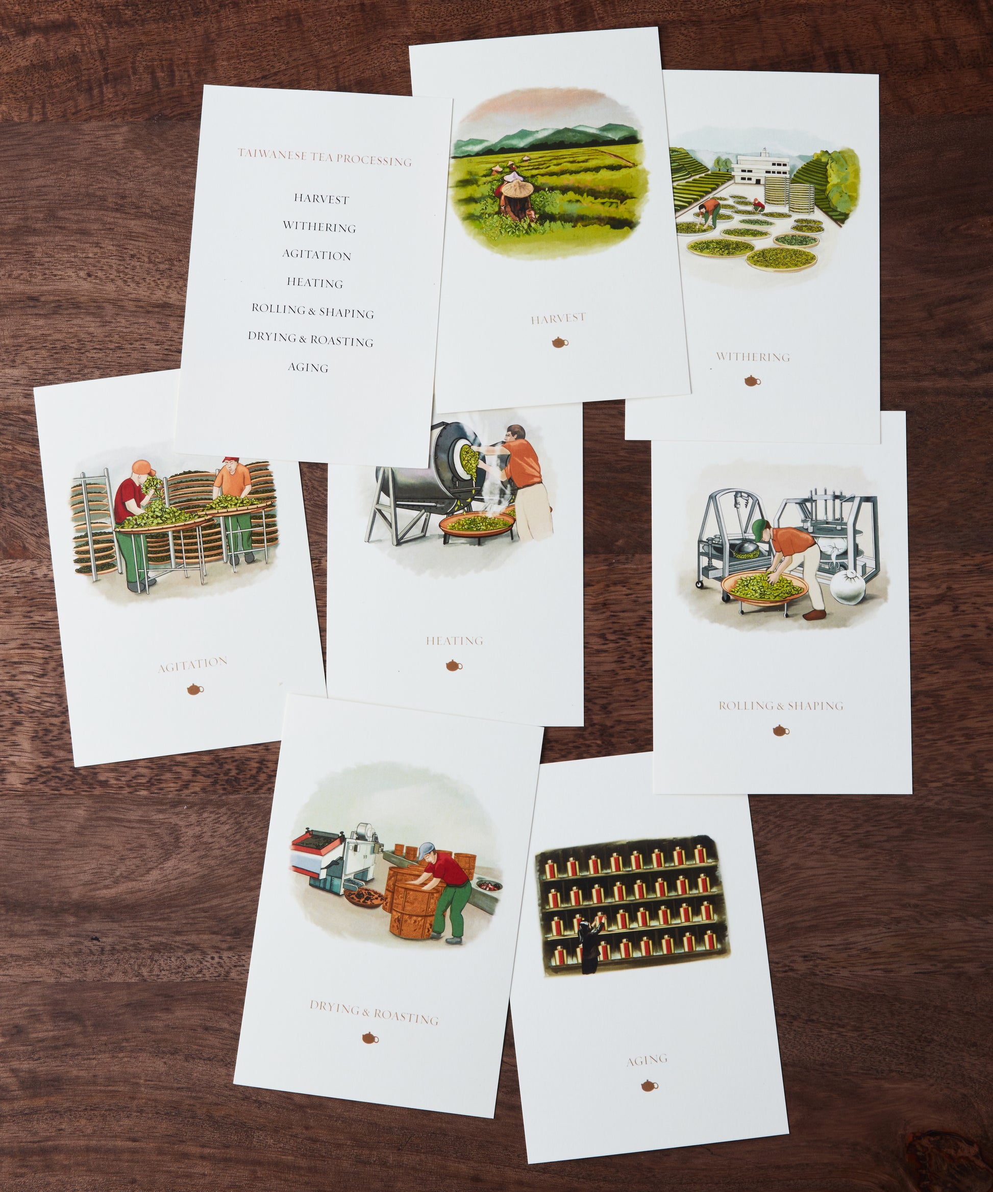 A set of cards illustrating various stages of Taiwanese tea processing, including harvesting, withering, rolling, and aging, arranged on a wooden table.