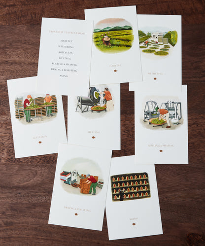 A set of cards illustrating various stages of Taiwanese tea processing, including harvesting, withering, rolling, and aging, arranged on a wooden table.