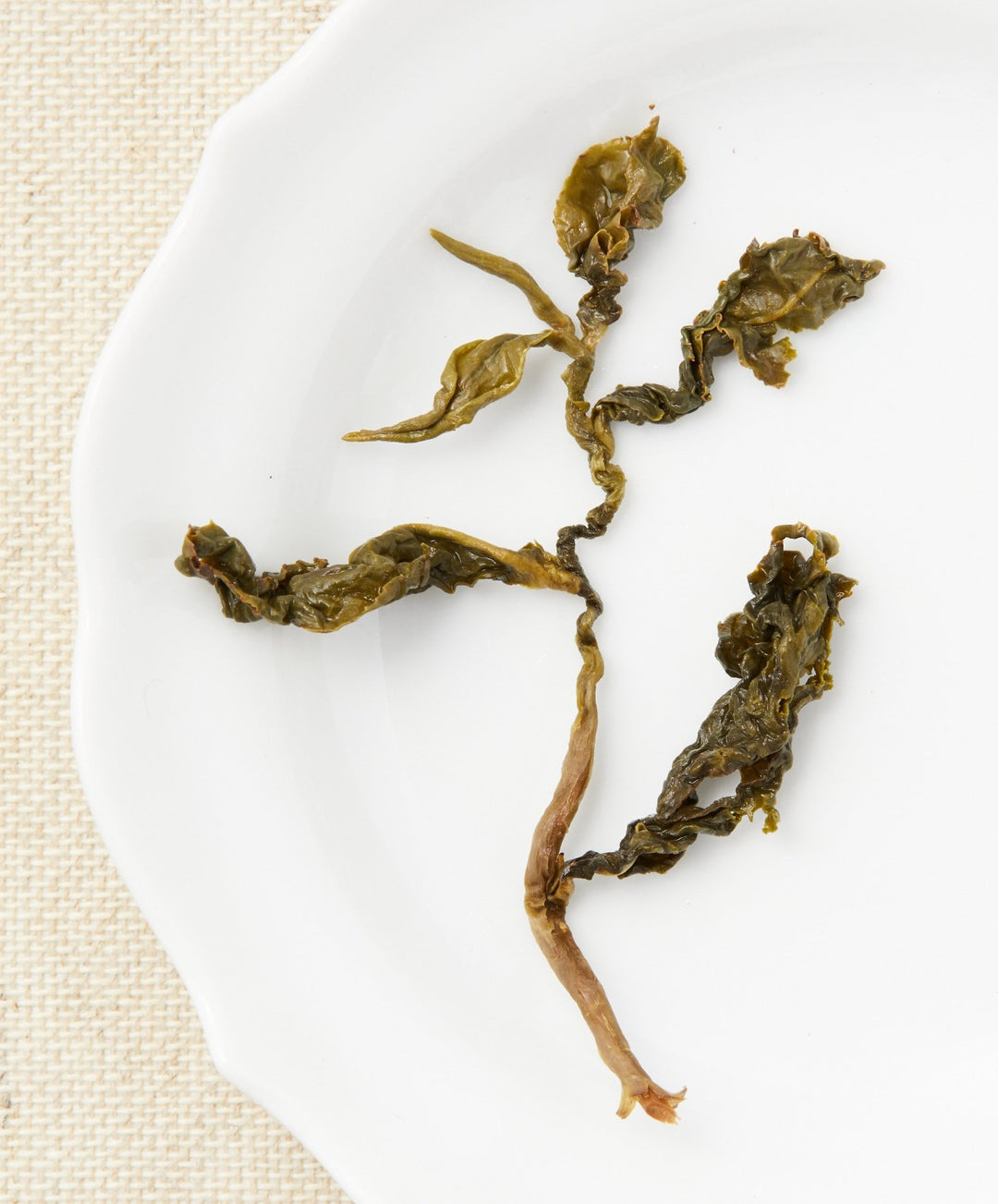 dong ding oolong leaf