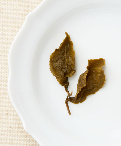 A single steeped tea leaf with an elongated shape and visible veins, displayed on a white plate.