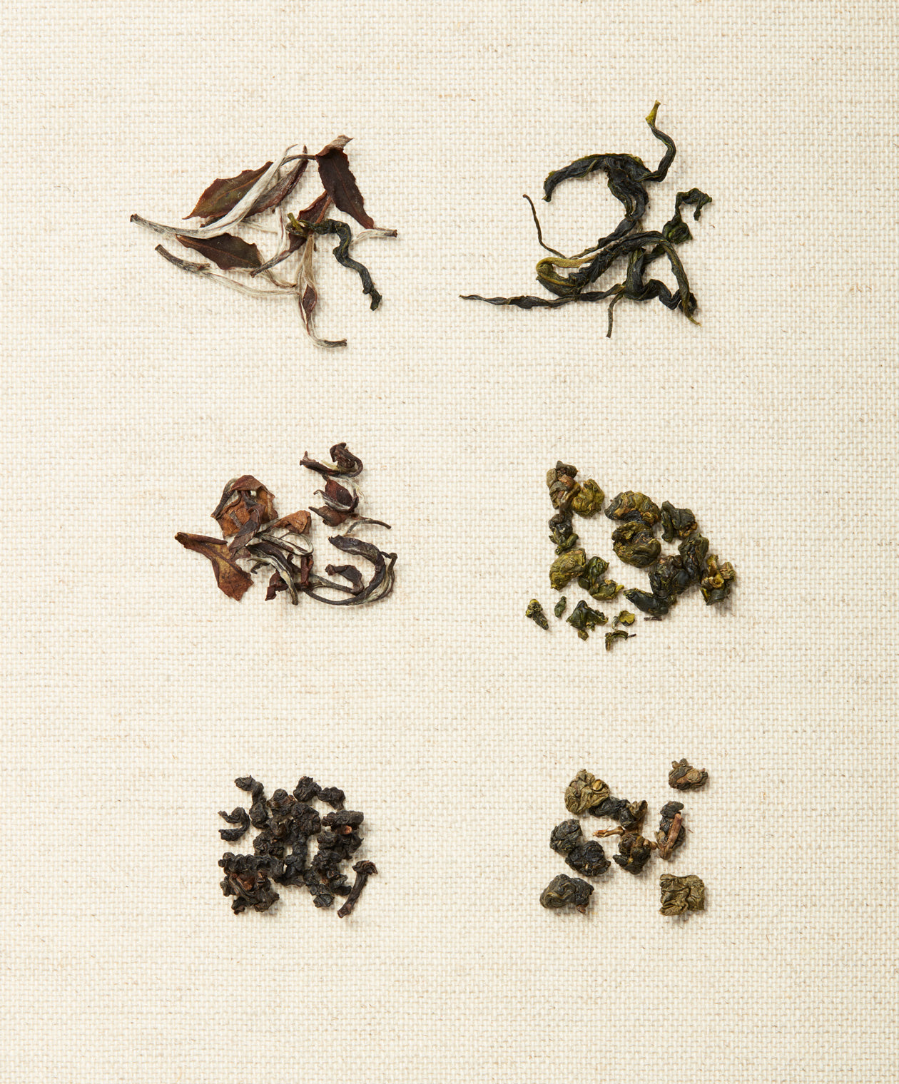 Six types of loose-leaf tea arranged on a textured beige surface, with distinct shapes and colors representing different tea styles.