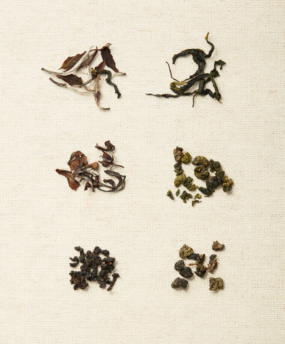 Six types of loose-leaf tea arranged on a textured beige surface, with distinct shapes and colors representing different tea styles.