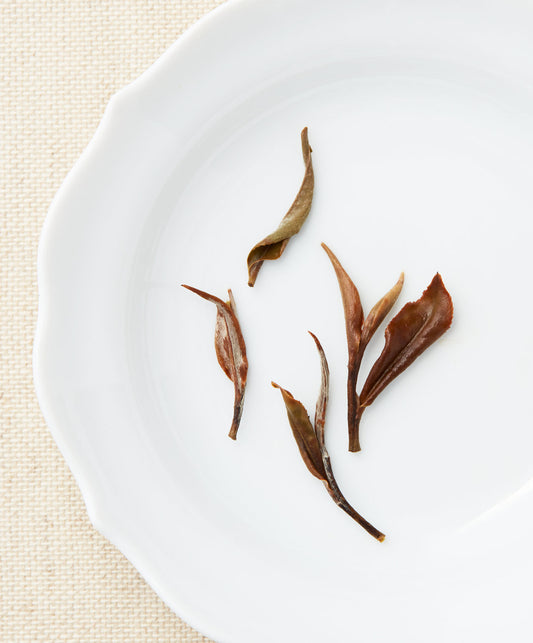 Steeped White Peony tea leaves on a white plate